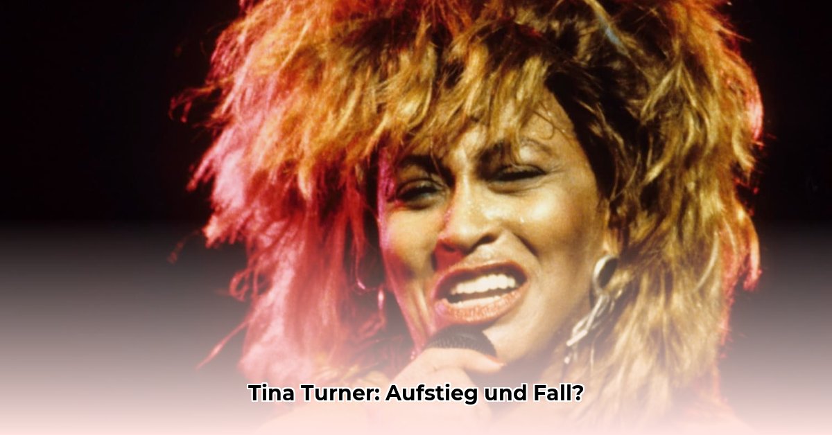 biografie-tina-turner